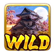 สัญลักษณ์ wild