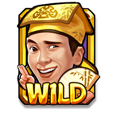 สัญลักษณ์ wild