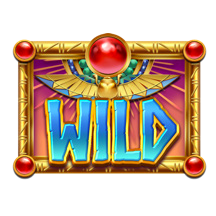 สัญลักษณ์ Wild