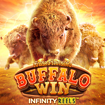 Buffalo Win