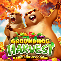 Groundhog Harvest